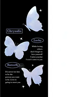 364期|手机壁纸|黑底梦幻紫蝴蝶