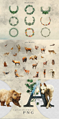 0693手绘森林野生动物植物鹿熊狐狸狼小鸟元素数字母PNG设计素材-淘宝网