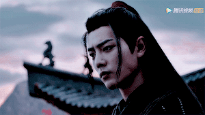 陈情令 自截GIF