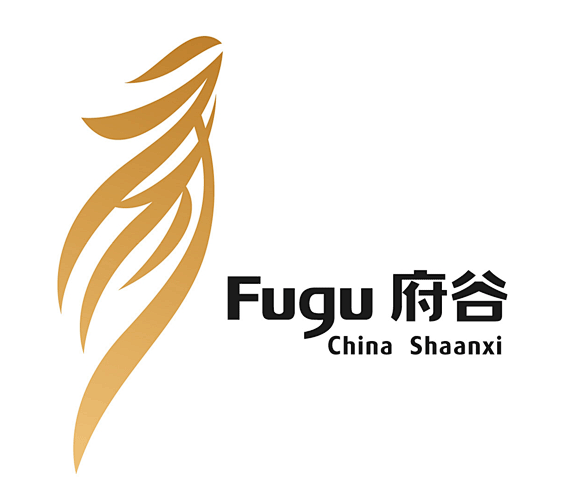 [图文视频]陕西省榆林市府谷县城市标识发...