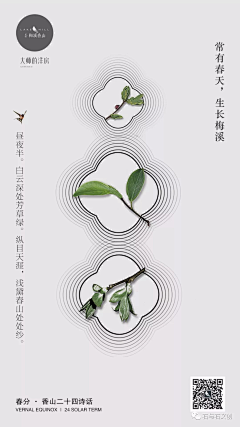 虎岫蔷薇采集到春分