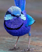 Photo by Birdsfreak | Birdlovers on April 26, 2021. May be an image of bird and nature.
