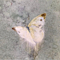 岩彩超话 takeda shujiro ​​​​