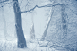 Solitude : A quiet January morning in the Taunus Mountains