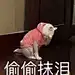 采集图片