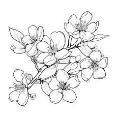 暗里里采集到插画