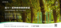 万家亮采集到双11