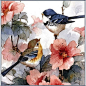 鳥鳴澗•鳥語花香：春天未曾走遠 80厚