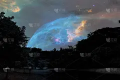 美丽抽象的纹理，彩色的黑白花卉和树木植物森林景观上的黑暗和极光北极星和星星天空银河银河的背景和壁纸