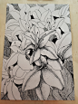 花 线描的搜索结果_百度图片搜索