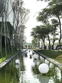 -小茉莉采集到水景