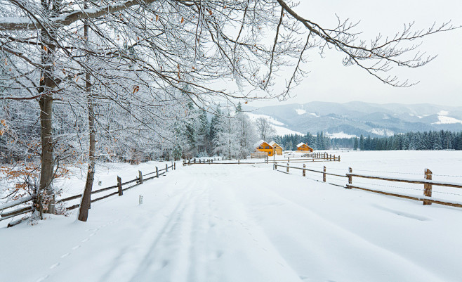 雪景 (2)