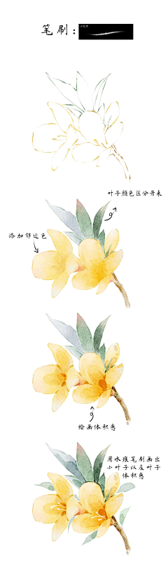 candyxiaoyan770采集到水彩