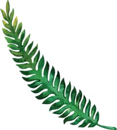 ai抠图绿叶森系水彩叶子插画手绘绿叶图片