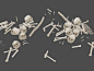 一堆白骨，骸骨，尸骨，骨头，尸体，骷髅头