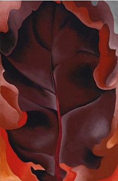 艾敏Amin花瓣采集到georgia o'keeffe