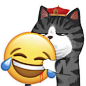 吾皇and  emoji