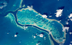 JY大馒头采集到境·Australia