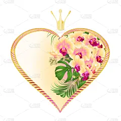 绘画插图,王冠,情人节,标签,无花果树,黄色,兰花,黄金,喜林芋属,矢量