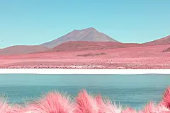 【知识星球：地产重案】
