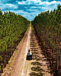 Typical Country Road