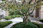 japanese-style-ocean-sand-garden-with-maple-trees