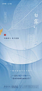 【源文件下载】 海报 房地产 二十四节气 白露 露珠 水珠  38210