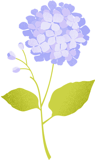 材质渐变写实花卉插画元素花朵