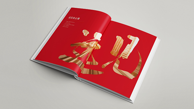 三十周年纪念册设计-集团画册设计-中骏周...