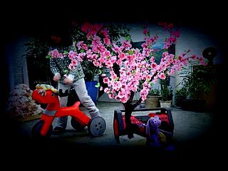  #音乐MV#左小祖咒<桃树的故事>