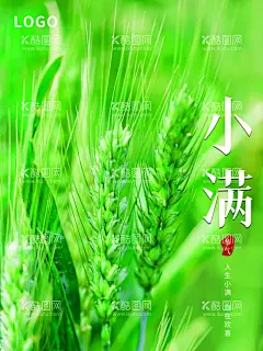 小满  - 源文件下载【酷图网】小满微信海报,金属麦子,地产小满,麦子,壁纸,唯美小清新,地产节气,小满地产海报,小满单图,小满朋友圈,小满广告,小满宣传,小满节气海报,夏至,初夏,小满海报,夏至转发图,传统节气,小满节日,24节气,小满微信,小满推广,地产节气单图,小满微信稿,小满地产,微信小满
