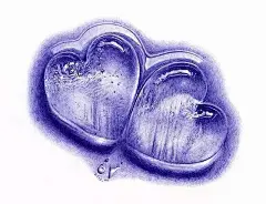 一个插画少年，用两块钱的圆珠笔，画出上万元的画 _绘画采下来 #率叶插件，让花瓣网更好用#