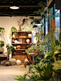 这家复合型植物店｜融入了我喜欢的所有元素