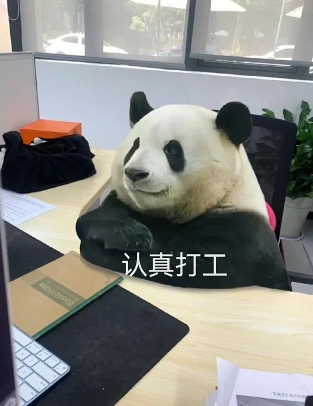 做了一组萌兰 么么儿表情包