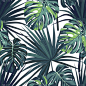 热带植物图案,叶子,热带雨林,绿色,矢量,背景,植物群,鸡尾酒,橄榄,干酪藤