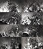 Gatekeeper Galio , Grafit Studio