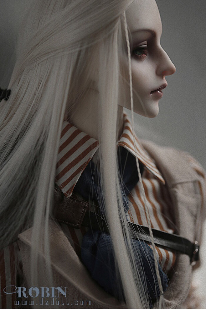 DZ （罗宾 Robin） 叔叔/bjd...