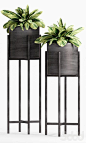 Flowers Plant Stands Modern