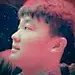 杨多鱼Henry