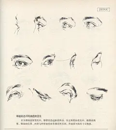 好书推荐《人体造型基础》 沈兆荣 编著 上海教育出版社_看图_洪福画室吧_百度贴吧