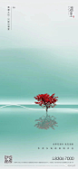 华茂·水汀湖里广告作品合集 : 【地产全案】独家先发