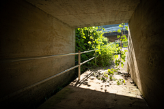 二次元小子采集到场景