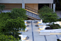 011-Knight Plaza, Miami by James Corner Field Operations