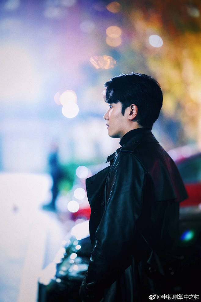 电视剧掌中之物傅慎行彭冠英饰