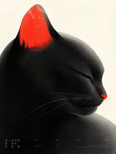猫 - 小红书