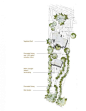 总平面图 Site Plan