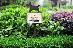 绿城物业 品质服务5.jpg