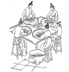 费内食品采集到插画