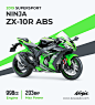 Image may contain: green, motorcycle and motorbike