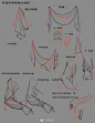 布料堆积而产生的褶皱、折皱的画法参考，相当的形象实用，好好研究一下褶皱的形成规律哦，转需！#绘画参考# ​​​​